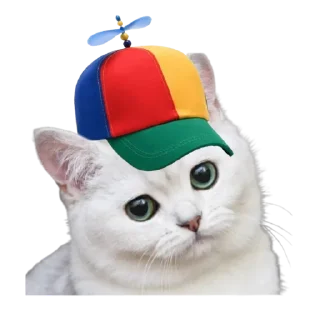 🧢