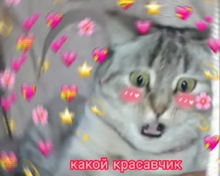 😍