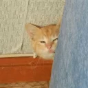 😑