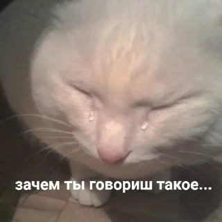 😭