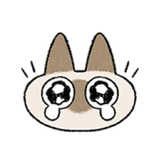😺