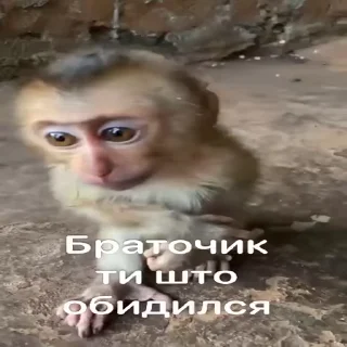 🥺
