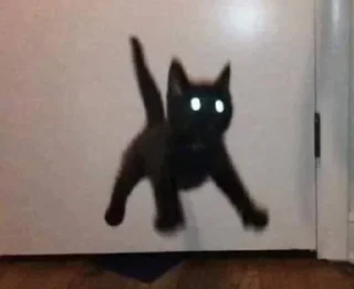 😱