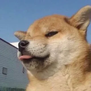 😛