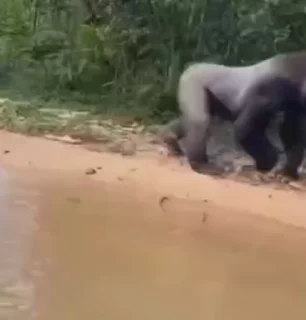 😍