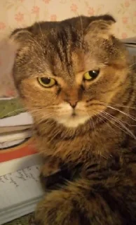 🤨