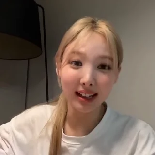 🐰