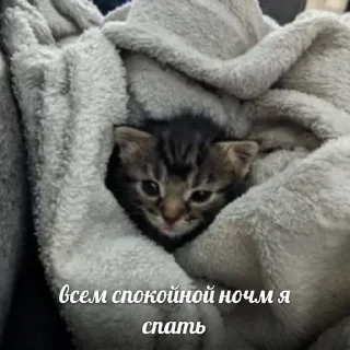😴