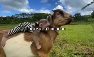 😳