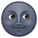 🌚