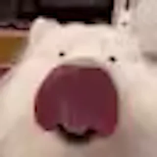 👅