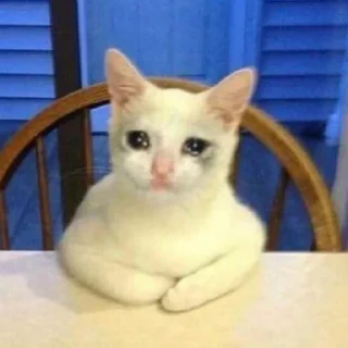 🥺