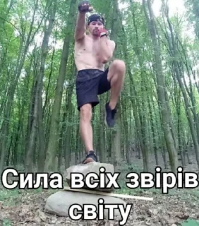 💪