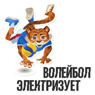 👍