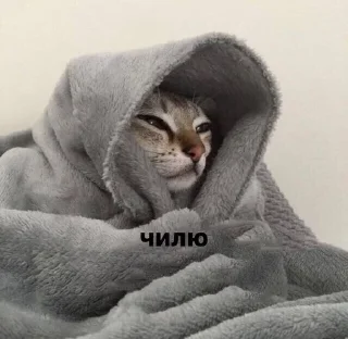 😎