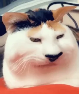 🤡