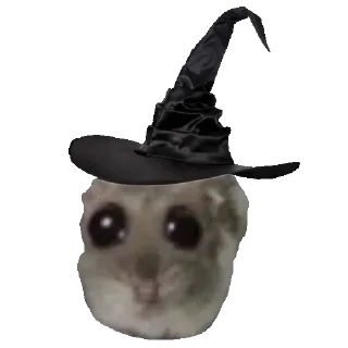 🧙‍♀️