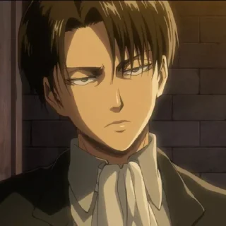⋆ levi ackerman @dickology ｡