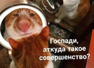 ☺️