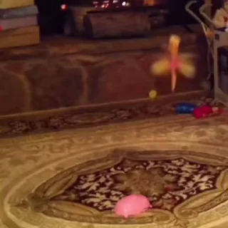 🧚‍♀️