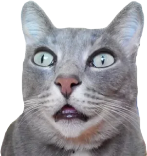 😮