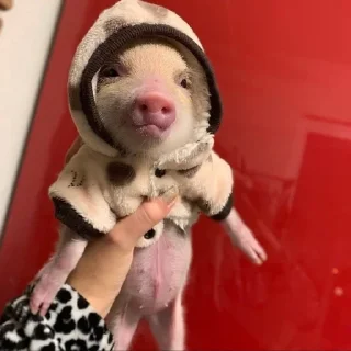 🙂