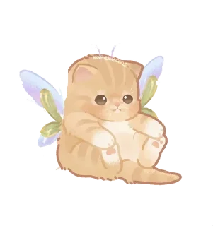 🌟