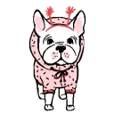 🐶