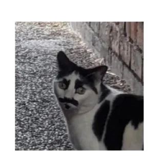 😒