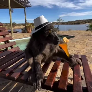 🏖️