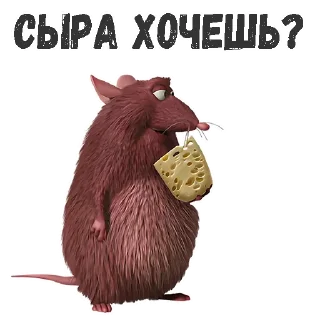 🧀