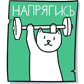 💪
