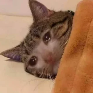 ಥ_ಥ