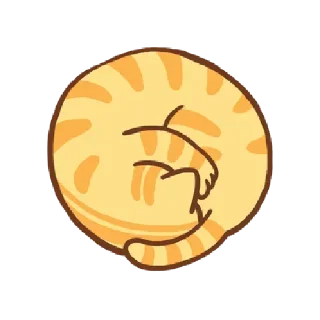 🐱