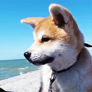 😗