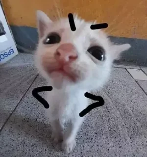 ꒰ ´ᗜ`๑ ꒱ ᶻ @iovalenti