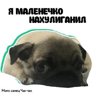 😉