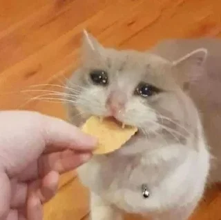 🥺