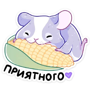 🌽