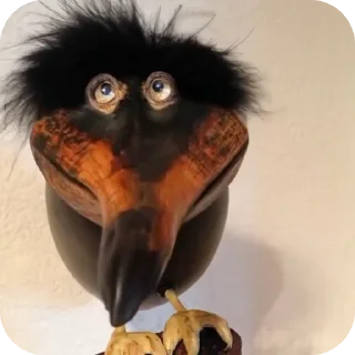 🐦