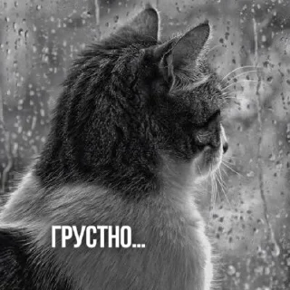 🙁