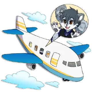 ✈️