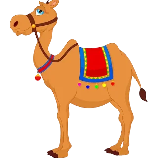 🐫