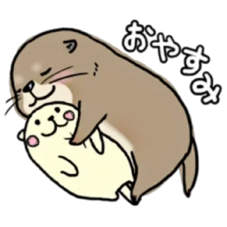 💤