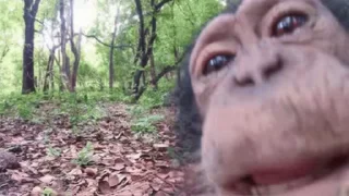 👅