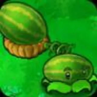 🍉