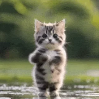 💃