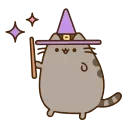 ✨