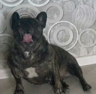 😳