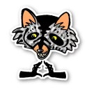 Raccoon